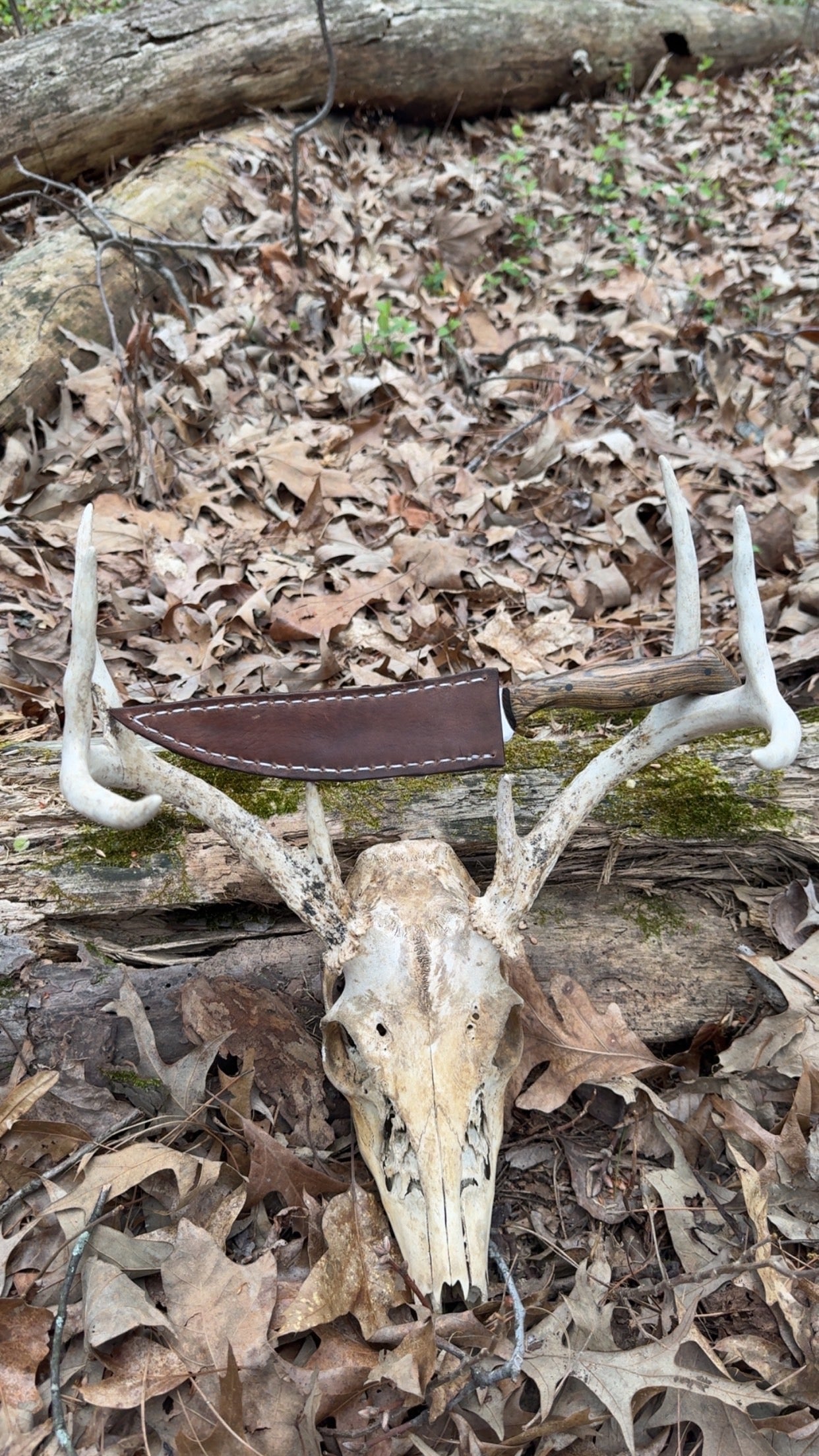 Deboning knife