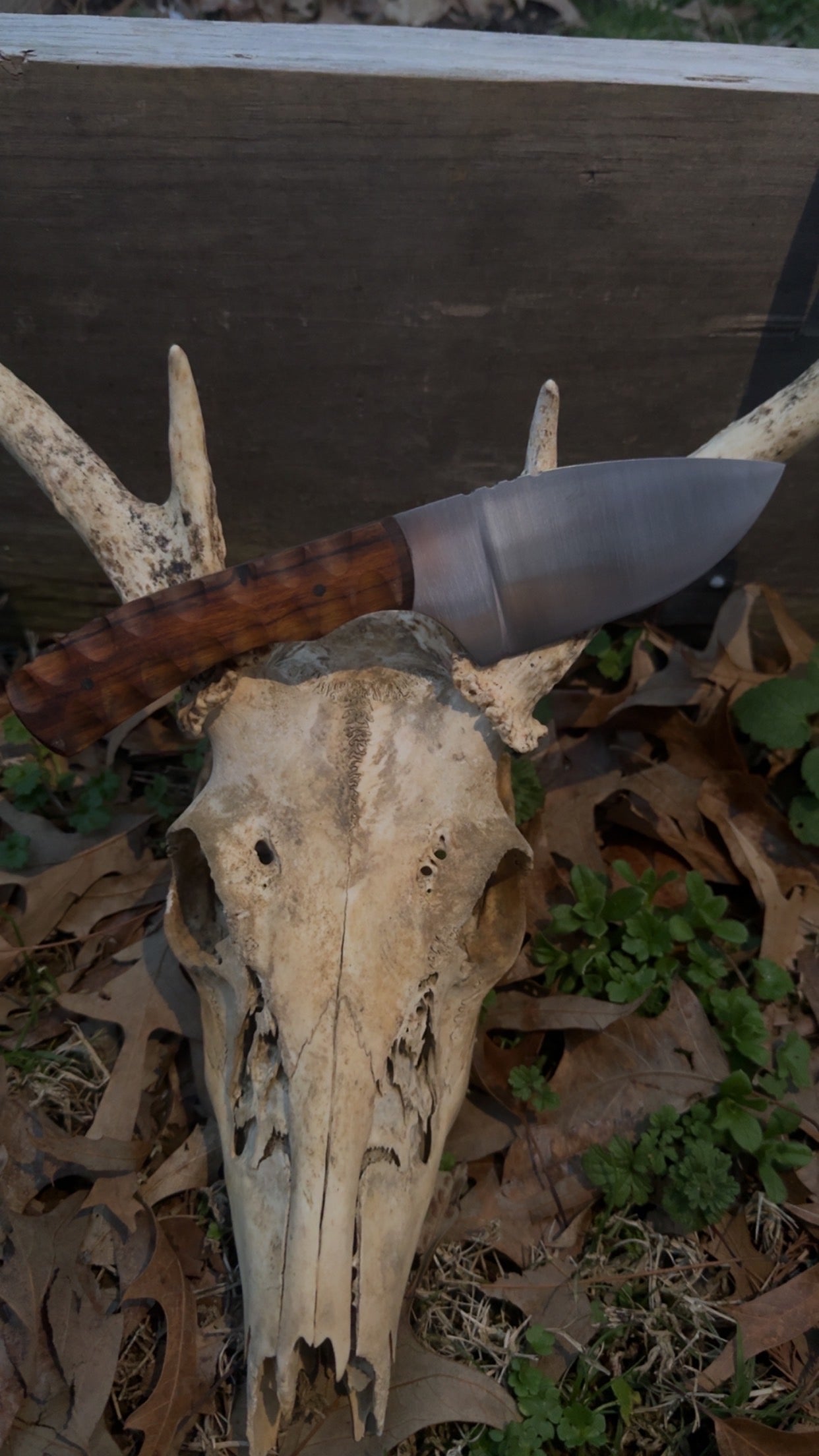 Signature Blade style with Desert Ironwood handle